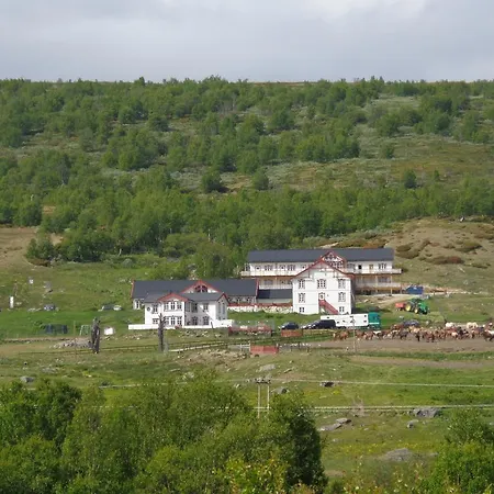 Отель Fjellstue *