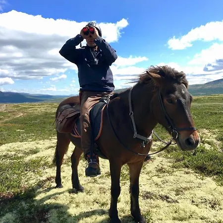 Отель Fjellstue Hjerkinn