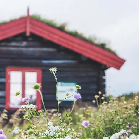 Отель Fjellstue *