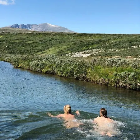Отель Fjellstue