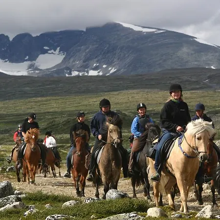 Fjellstue * Hjerkinn