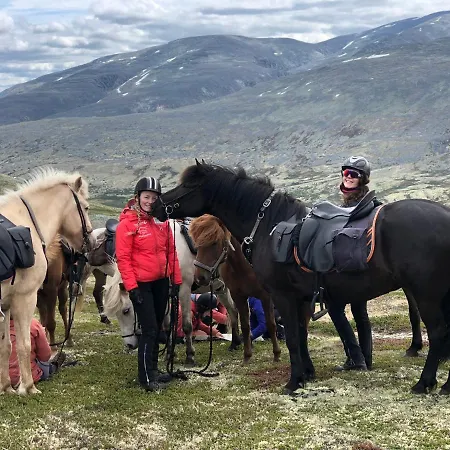 Fjellstue * Hjerkinn